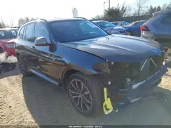 5UXTS3C57K0Z07233 2019 BMW X3