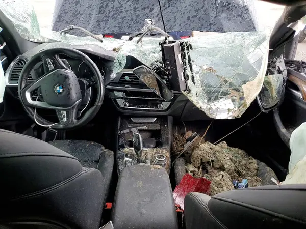 5UXTY5C03L9B97164 2020 BMW X3 - Image 8