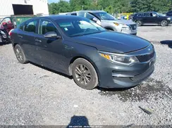 5XXGT4L10GG033641 2016 KIA OPTIMA