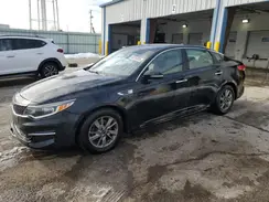5XXGT4L10GG081799 2016 KIA OPTIMA