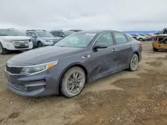5XXGT4L10GG091264 2016 KIA OPTIMA