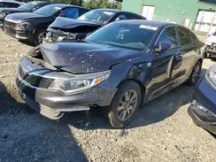 5XXGT4L10HG151223 2017 KIA OPTIMA