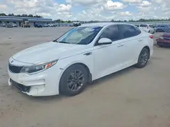 5XXGT4L12GG003654 2016 KIA OPTIMA
