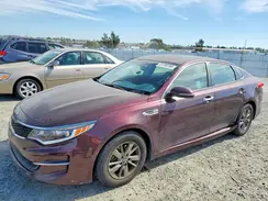 5XXGT4L13GG046366 2016 KIA OPTIMA