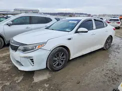 5XXGT4L14GG007950 2016 KIA OPTIMA