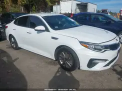 5XXGT4L30KG342391 2019 KIA OPTIMA