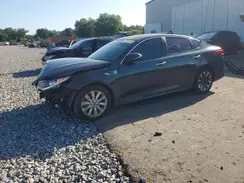 5XXGT4L31GG011942 2016 KIA OPTIMA