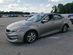 5XXGT4L31GG016896 2016 KIA OPTIMA