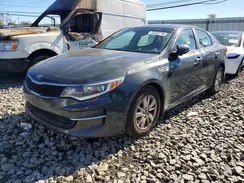 5XXGT4L31GG019524 2016 KIA OPTIMA