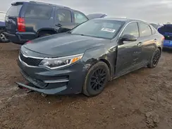5XXGT4L31GG022990 2016 KIA OPTIMA