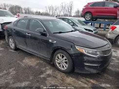 5XXGT4L31GG025842 2016 KIA OPTIMA