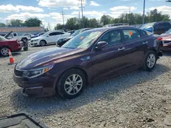 5XXGT4L31GG030295 2016 KIA OPTIMA