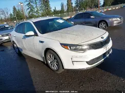 5XXGT4L31GG034993 2016 KIA OPTIMA