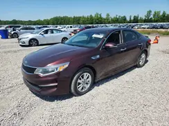 5XXGT4L31GG039434 2016 KIA OPTIMA