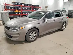 5XXGT4L31GG054497 2016 KIA OPTIMA