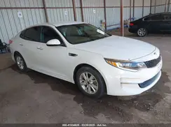 5XXGT4L31GG056783 2016 KIA OPTIMA