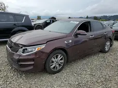 5XXGT4L31GG057500 2016 KIA OPTIMA