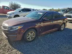 5XXGT4L31GG066181 2016 KIA OPTIMA