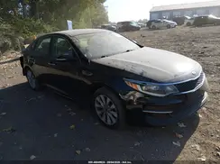 5XXGT4L31GG074667 2016 KIA OPTIMA