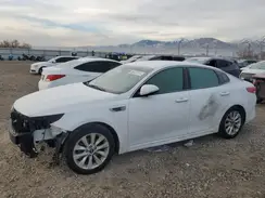 5XXGT4L31GG083322 2016 KIA OPTIMA