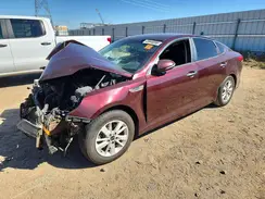 5XXGT4L31GG100989 2016 KIA OPTIMA