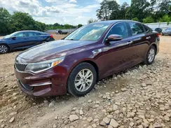 5XXGT4L31GG104492 2016 KIA OPTIMA