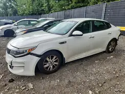 5XXGT4L31GG111233 2016 KIA OPTIMA