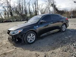 5XXGT4L31GG116786 2016 KIA OPTIMA