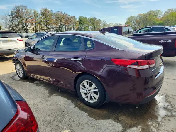 5XXGT4L31GG116853 2016 KIA OPTIMA - Image 2