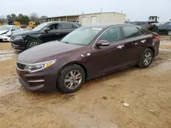 5XXGT4L31HG155007 2017 KIA OPTIMA