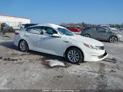 5XXGT4L31HG163446 2017 KIA OPTIMA