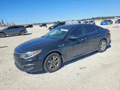 5XXGT4L31HG163656 2017 KIA OPTIMA