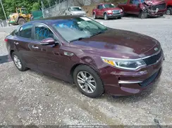 5XXGT4L31HG166556 2017 KIA OPTIMA