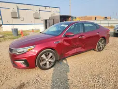 5XXGT4L31KG294495 2019 KIA OPTIMA