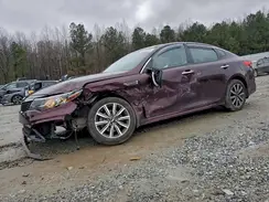 5XXGT4L31KG299762 2019 KIA OPTIMA