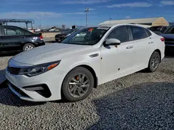 5XXGT4L31KG325261 2019 KIA OPTIMA