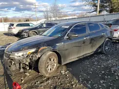 5XXGT4L31KG338463 2019 KIA OPTIMA