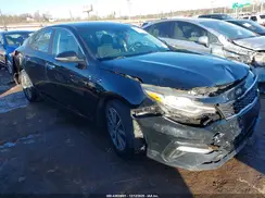 5XXGT4L31KG354954 2019 KIA OPTIMA