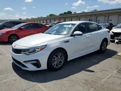 5XXGT4L31KG374430 2019 KIA OPTIMA