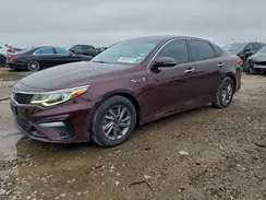 5XXGT4L31KG376565 2019 KIA OPTIMA