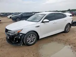 5XXGT4L31LG442937 2020 KIA OPTIMA