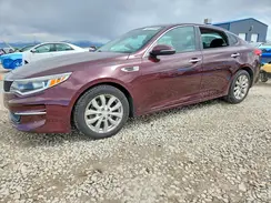 5XXGT4L32GG004742 2016 KIA OPTIMA