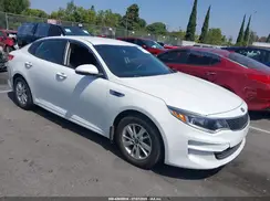 5XXGT4L32GG019760 2016 KIA OPTIMA