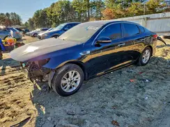 5XXGT4L32GG037353 2016 KIA OPTIMA