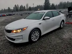 5XXGT4L32GG081627 2016 KIA OPTIMA