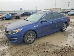 5XXGT4L32GG094345 2016 KIA OPTIMA