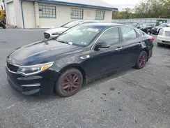 5XXGT4L32GG103013 2016 KIA OPTIMA