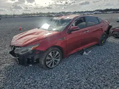 5XXGT4L32KG290116 2019 KIA OPTIMA