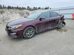 5XXGT4L32KG305164 2019 KIA OPTIMA