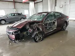 5XXGT4L32KG341520 2019 KIA OPTIMA